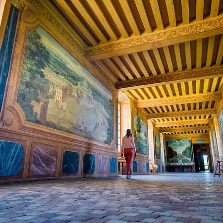 Chambres D'Hotes Au Chateau De Gizeux Exterior foto