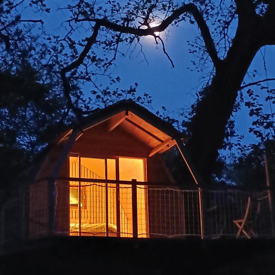 Chambres D'Hotes Au Chateau De Gizeux Exterior foto